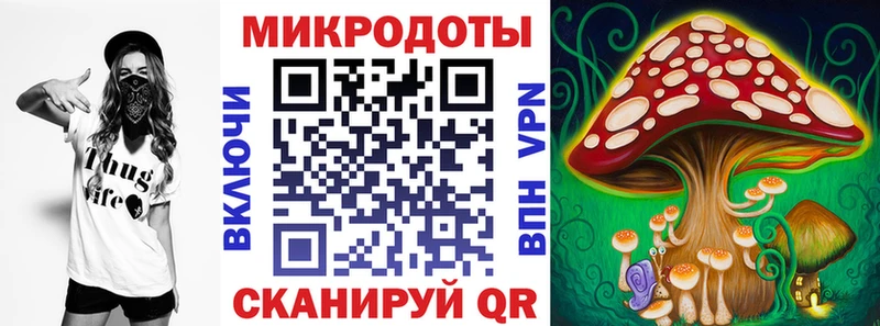Галлюциногенные грибы Psilocybe  Саяногорск 