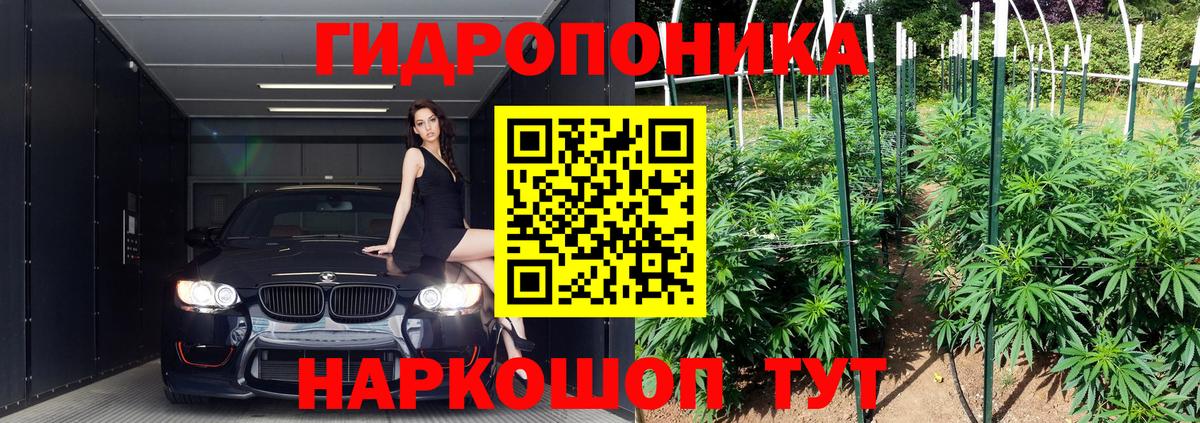 Конопля Bruce Banner Саяногорск